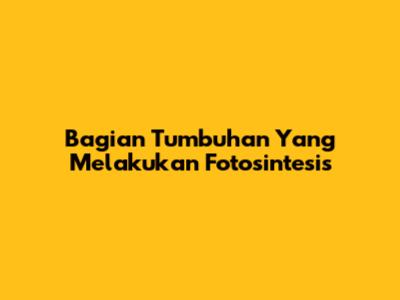 Bagian Tumbuhan Yang Melakukan Fotosintesis