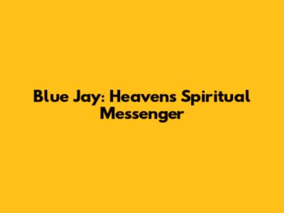 Blue Jay: Heaven's Spiritual Messenger