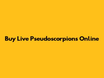 Buy Live Pseudoscorpions Online