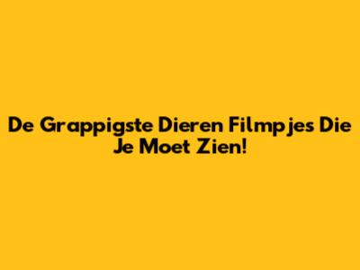 De Grappigste Dieren Filmpjes Die Je Moet Zien!