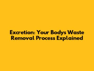 Excretion: Your Body's Waste Removal Process Explained