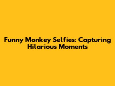 Funny Monkey Selfies: Capturing Hilarious Moments