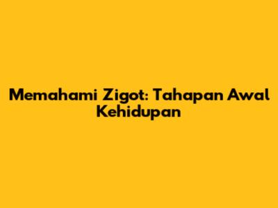 Memahami Zigot: Tahapan Awal Kehidupan