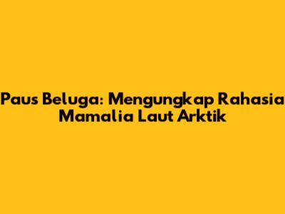 Paus Beluga: Mengungkap Rahasia Mamalia Laut Arktik