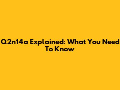 Q2n14a Explained: What You Need To Know