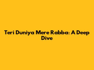 Teri Duniya Mere Rabba: A Deep Dive